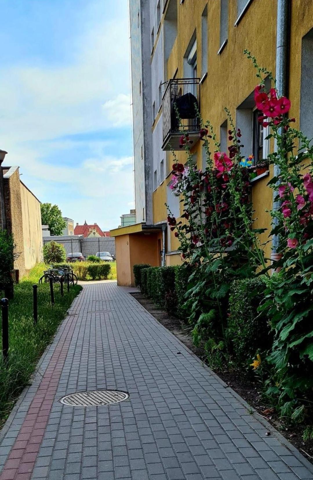 Apartament Przy Alei Kopernika Inowrocław Buitenkant foto